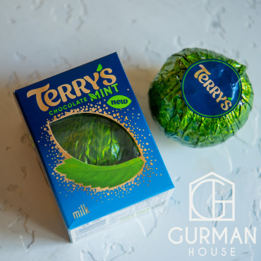 Шоколадный апельсин Terry's Orange Chocolate Mint Мята 157 г